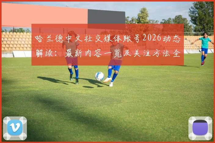 哈兰德中文社交媒体账号2026动态解读：最新内容一览及关注方法全攻略