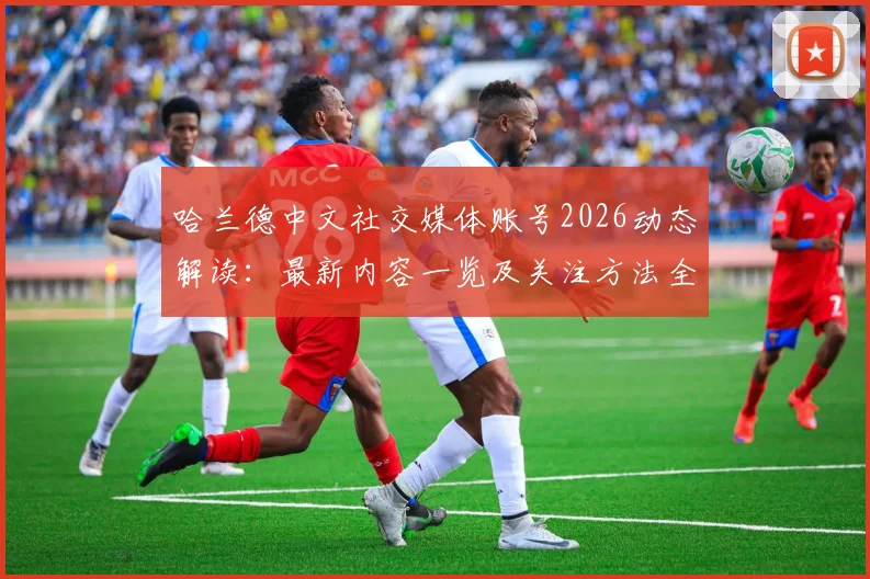 哈兰德中文社交媒体账号2026动态解读:最新内容一览及关注方法全攻略